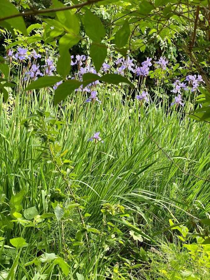 Freiblick 1 Bad Glbg Mit Garten Top1 Bad Gleichenberg Exterior photo